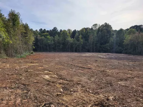 2549 Old 421 Rd, Staley, NC 27355 photo 4