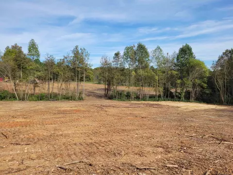 2549 Old 421 Rd, Staley, NC 27355 photo 14