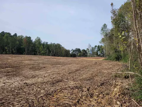 2549 Old 421 Rd, Staley, NC 27355 photo 7