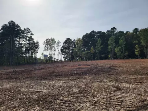 2549 Old 421 Rd, Staley, NC 27355 photo 8