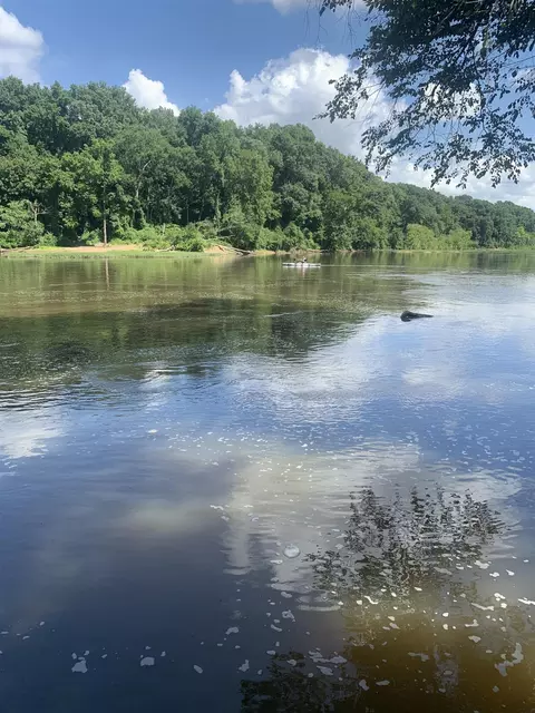 93 Waters Edge Dr, Erwin, NC 28339 photo 14