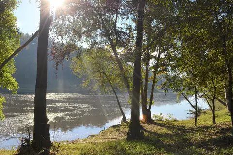 93 Waters Edge Dr, Erwin, NC 28339 photo 1