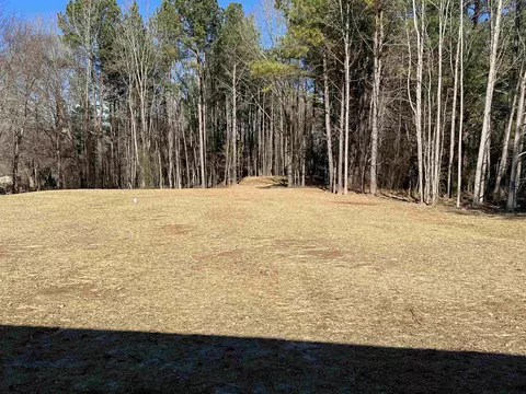 30 Sledge Farm Dr, Spring Hope, NC 27882 photo 11