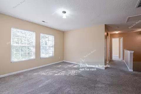 607 Pebblestone Dr, Durham, NC 27703 photo 13