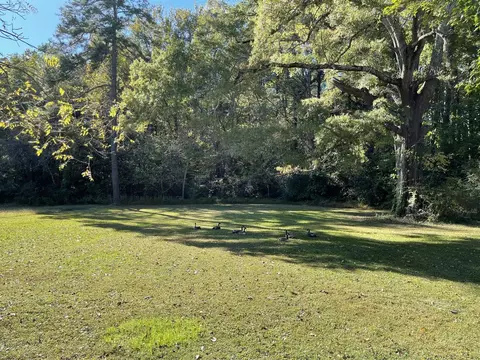 3407 Misty Pine Ave, Durham, NC 27704 photo 28