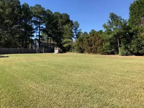 63 Clarke Ct, Angier, NC 27501 photo 16