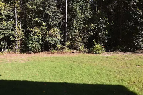 71 Saylor Ridge Ln, Willow Spring, NC 27592 photo 25