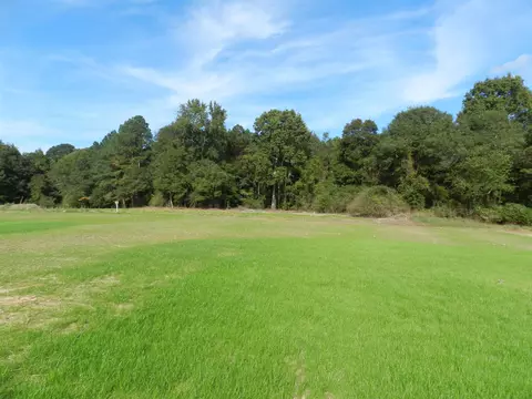 86 Hurricane Aly, Benson, NC 27504 photo 17