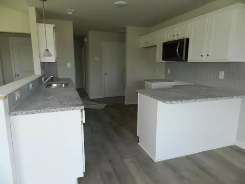 86 Hurricane Aly, Benson, NC 27504 photo 7