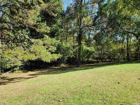 93 Terapin Slide Rd, Staley, NC 27355 photo 19
