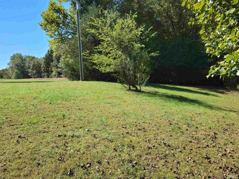 93 Terapin Slide Rd, Staley, NC 27355 photo 20