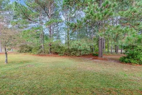 376 Tranquil Ln, Willow Spring, NC 27592 photo 21