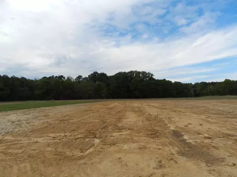 94 Monaghan Ct, Selma, NC 27576 photo 13
