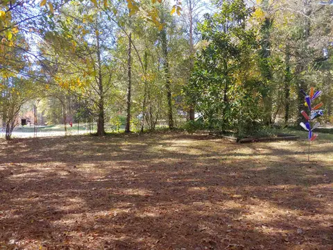 4121 Buchanan Dr, Durham, NC 27707 photo 14