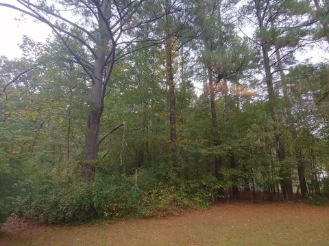 4121 Buchanan Dr, Durham, NC 27707 photo 7