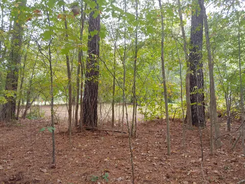 4121 Buchanan Dr, Durham, NC 27707 photo 13