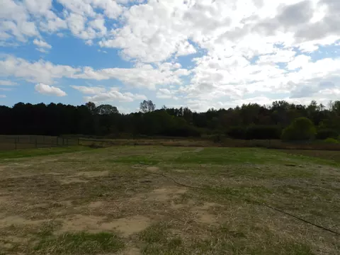 200 Hunter Fox Trl, Angier, NC 27501 photo 15