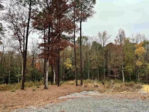 197 Silverside Dr, Angier, NC 27501 photo 1