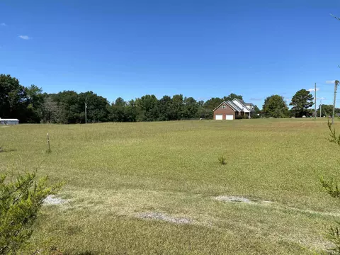 830 Wiggins Rd, Angier, NC 27501 photo 3