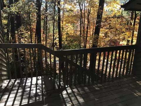 107 Twisted Oak Pl, Durham, NC 27705 photo 34