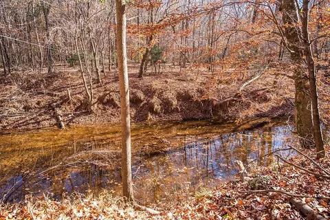 99 Fork Junction Rd, Timberlake, NC 27583 photo 33