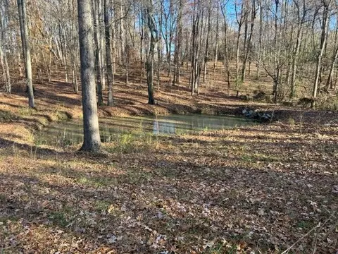 3041 Soapstone Mountain Rd, Staley, NC 27355 photo 3