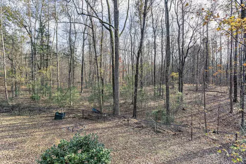 831 Healey Ln, Durham, NC 27705 photo 36