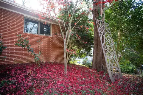 1609 Ward St, Durham, NC 27707 photo 37