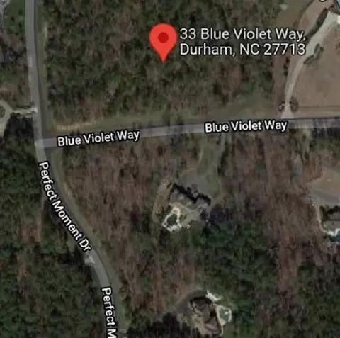 33 Blue Violet Way, Durham, NC 27713 photo 1