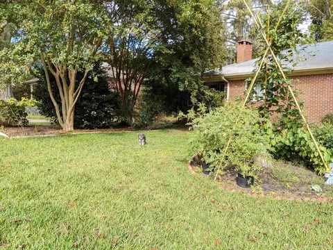814 Leon St, Durham, NC 27704 photo 4