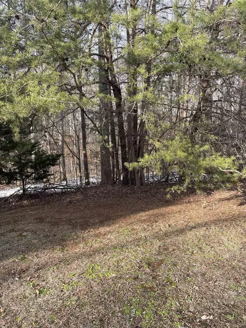 617 Phar Lap Ln, Durham, NC 27503 photo 10