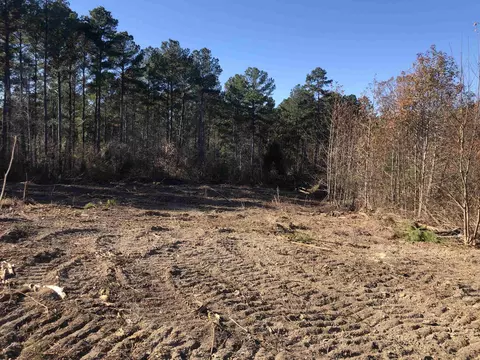 1731 E Gargus Rd, Moncure, NC 27559 photo 4