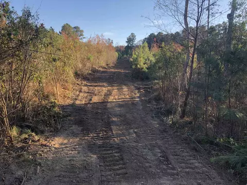1731 E Gargus Rd, Moncure, NC 27559 photo 1