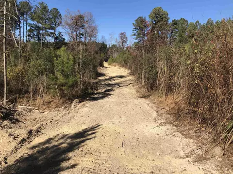 1731 E Gargus Rd, Moncure, NC 27559 photo 2