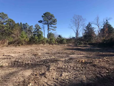1731 E Gargus Rd, Moncure, NC 27559 photo 5