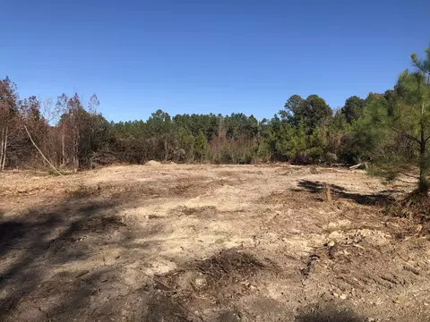 1731 E Gargus Rd, Moncure, NC 27559 photo 3
