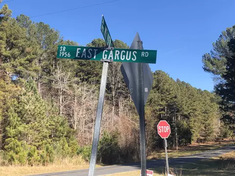 1731 E Gargus Rd, Moncure, NC 27559 photo 8