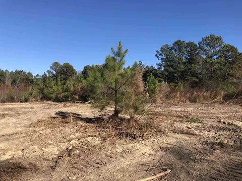 1731 E Gargus Rd, Moncure, NC 27559 photo 6