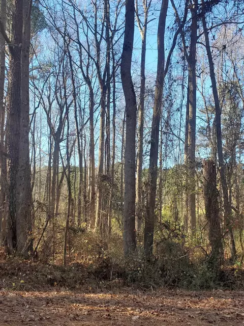 8900 Old Cascade Dr, Garner, NC 27529 photo 2