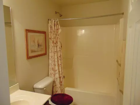 204 Griffis Dr, Stem, NC 27581 photo 21