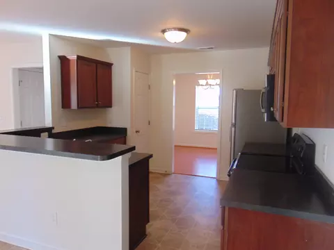 204 Griffis Dr, Stem, NC 27581 photo 7