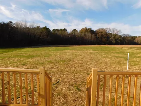 132 Monaghan Ct, Selma, NC 27576 photo 19