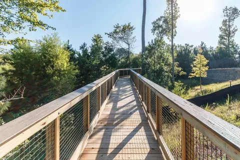 1011 Falling Rock Pl, Durham, NC 27703 photo 26
