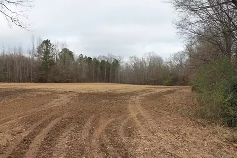 288 Beaver Dam Rd, Erwin, NC 28339 photo 15