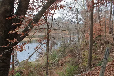 288 Beaver Dam Rd, Erwin, NC 28339 photo 3