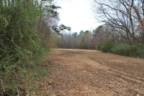 288 Beaver Dam Rd, Erwin, NC 28339 photo 12