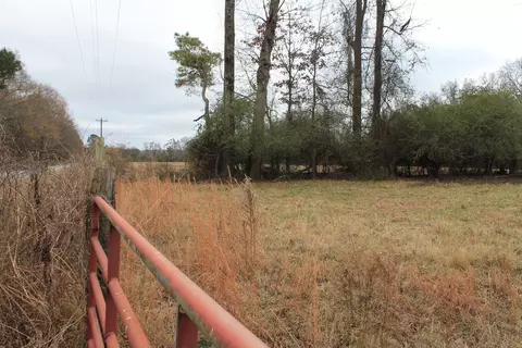 288 Beaver Dam Rd, Erwin, NC 28339 photo 10