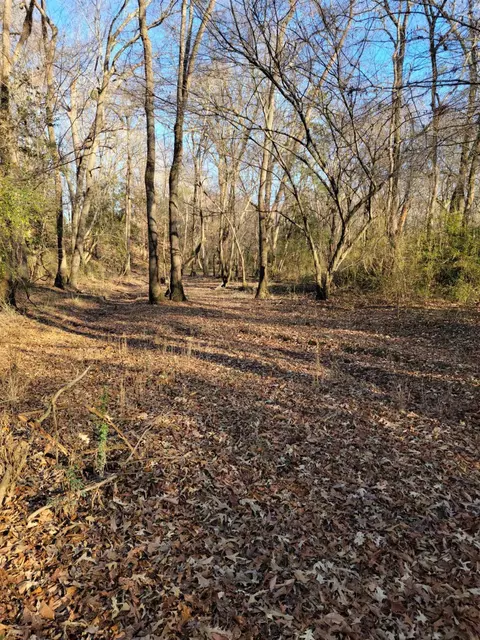 1845 Crantock Rd, Smithfield, NC 27577 photo 3