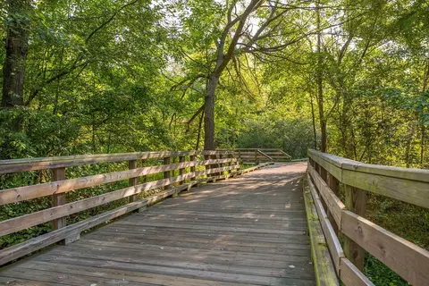 1605 Marshall Farm St, Wake Forest, NC 27587 photo 54