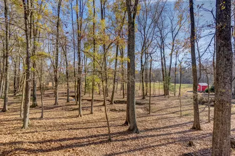 2319 Cothran Rd, Rougemont, NC 27572 photo 31